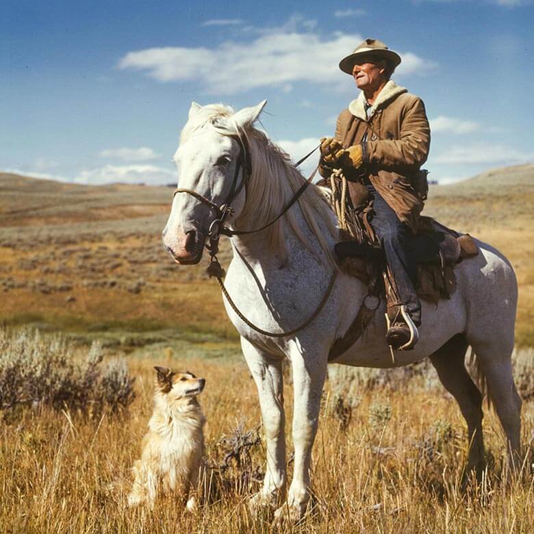 ecobeef-ourfarm-farmer-on-horse ecobeef-ourfarm-farmer-on-horse